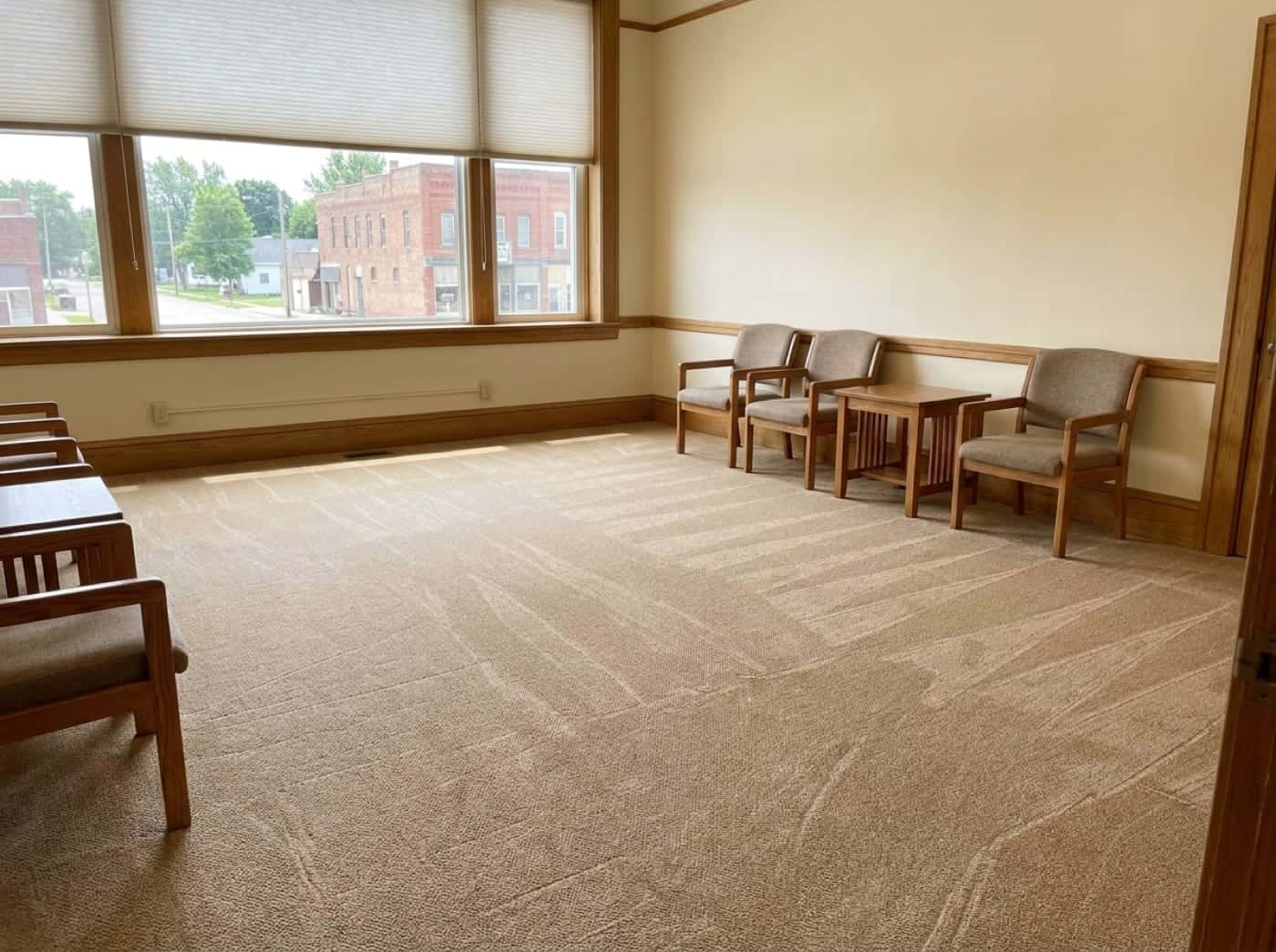 Freshly cleaned carpet with fresh vacuum lines by a sunny window