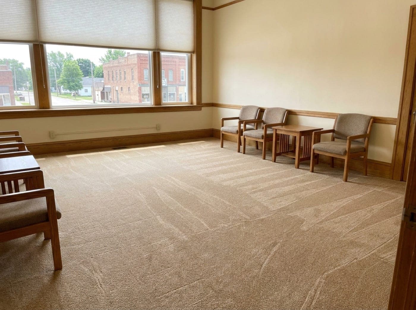 Freshly cleaned carpet with fresh vacuum lines by a sunny window